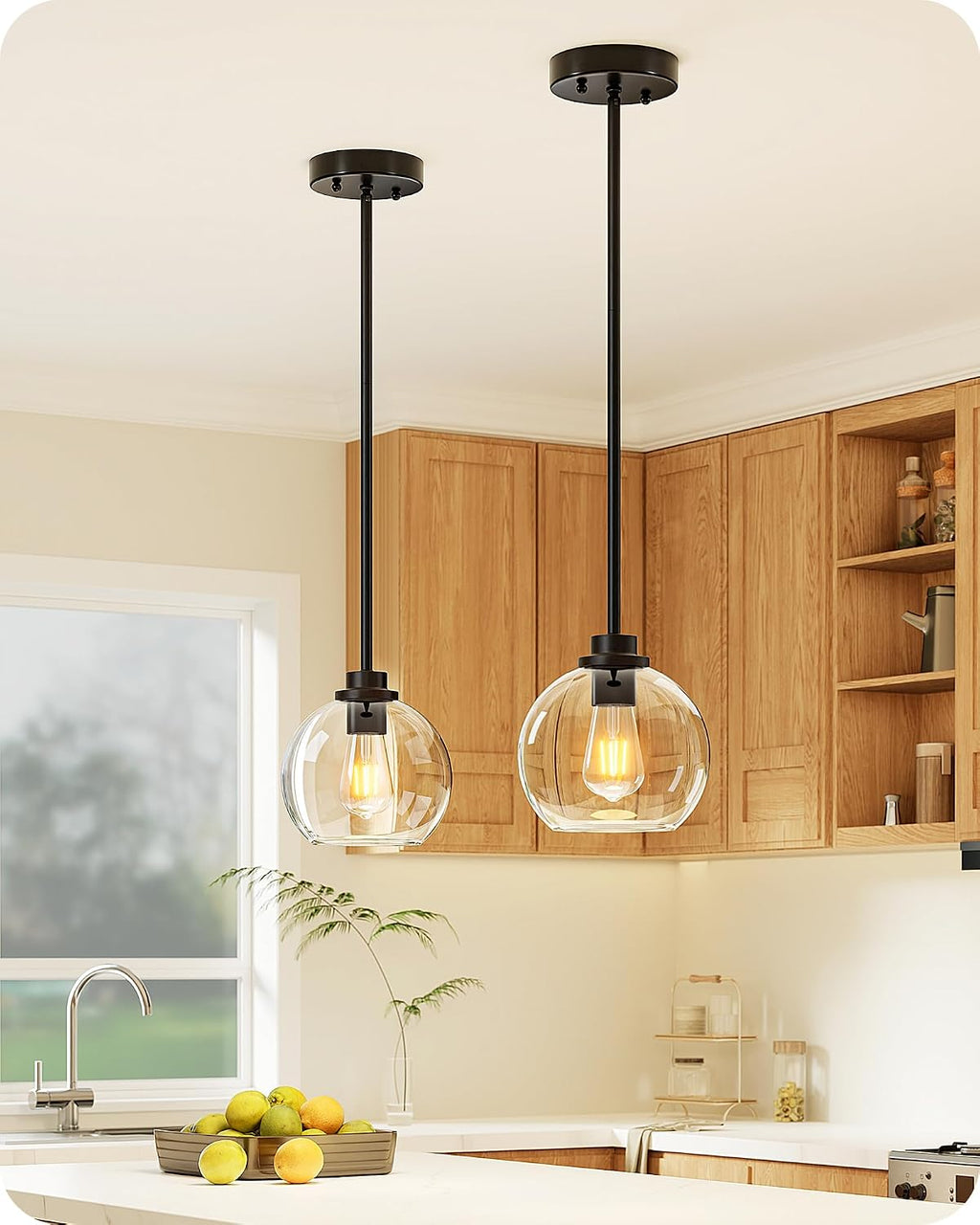 Matte Black Clear Globe 2 Pack Pendant Light